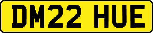 DM22HUE