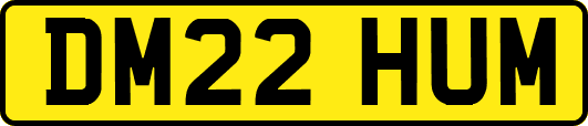 DM22HUM