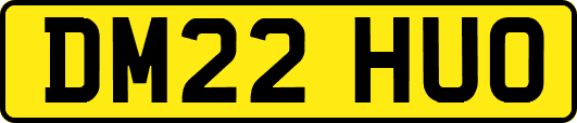 DM22HUO