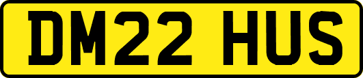 DM22HUS