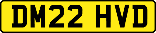 DM22HVD