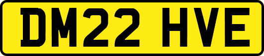 DM22HVE