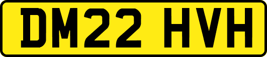 DM22HVH