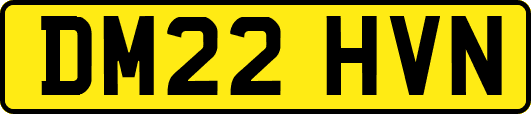 DM22HVN