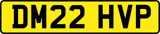 DM22HVP