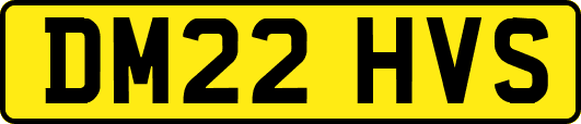 DM22HVS