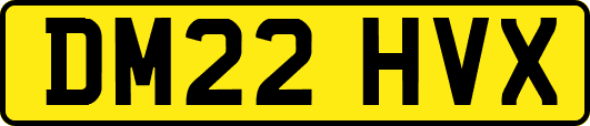 DM22HVX