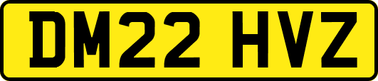 DM22HVZ