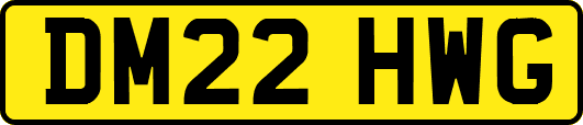 DM22HWG