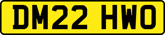 DM22HWO