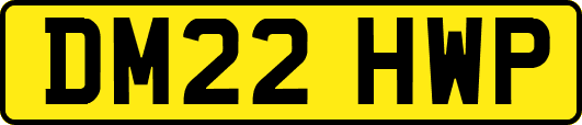 DM22HWP