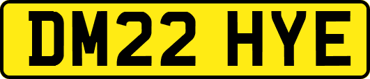 DM22HYE