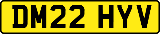 DM22HYV