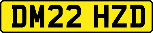 DM22HZD
