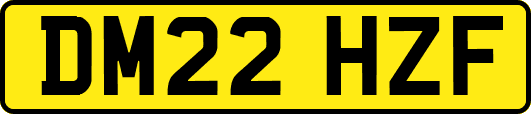 DM22HZF