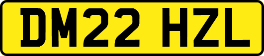 DM22HZL