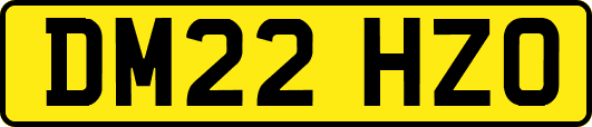 DM22HZO
