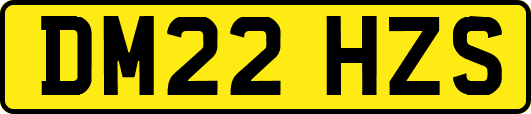 DM22HZS
