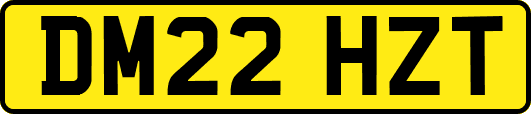 DM22HZT