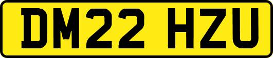DM22HZU