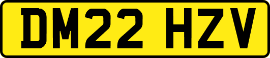 DM22HZV