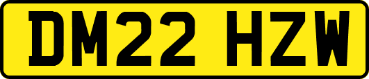 DM22HZW