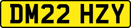 DM22HZY