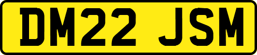 DM22JSM
