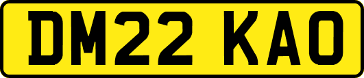 DM22KAO