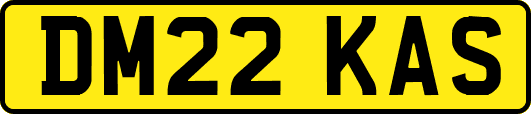 DM22KAS