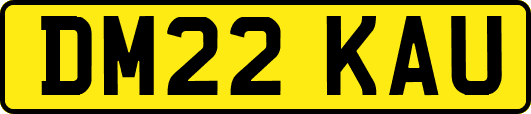 DM22KAU