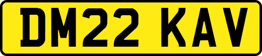 DM22KAV