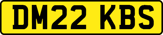 DM22KBS