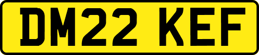 DM22KEF