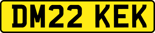 DM22KEK