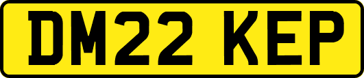 DM22KEP