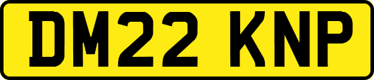 DM22KNP