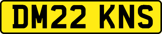 DM22KNS