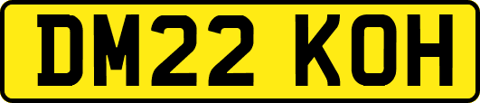 DM22KOH