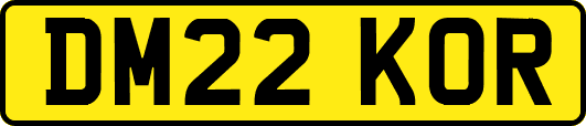 DM22KOR