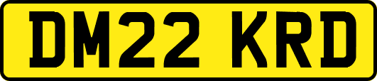DM22KRD
