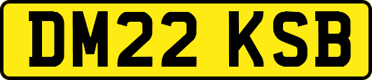 DM22KSB