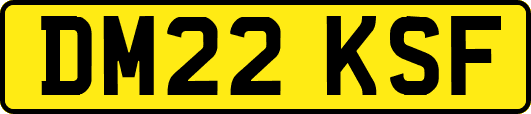 DM22KSF