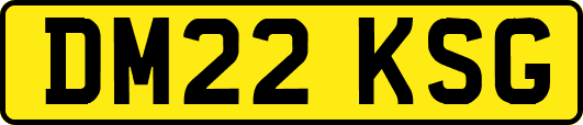 DM22KSG