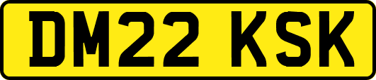 DM22KSK