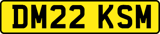 DM22KSM