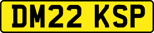 DM22KSP