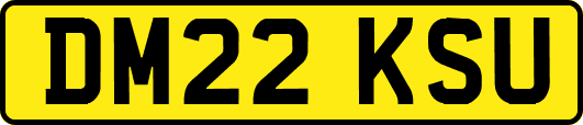 DM22KSU