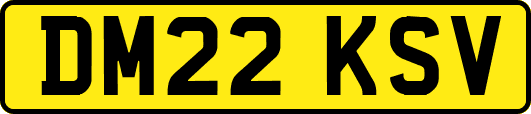 DM22KSV