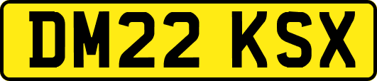 DM22KSX